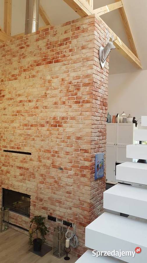 Płytki ceglane lico cegły stare cegły na ścianę sprzedam