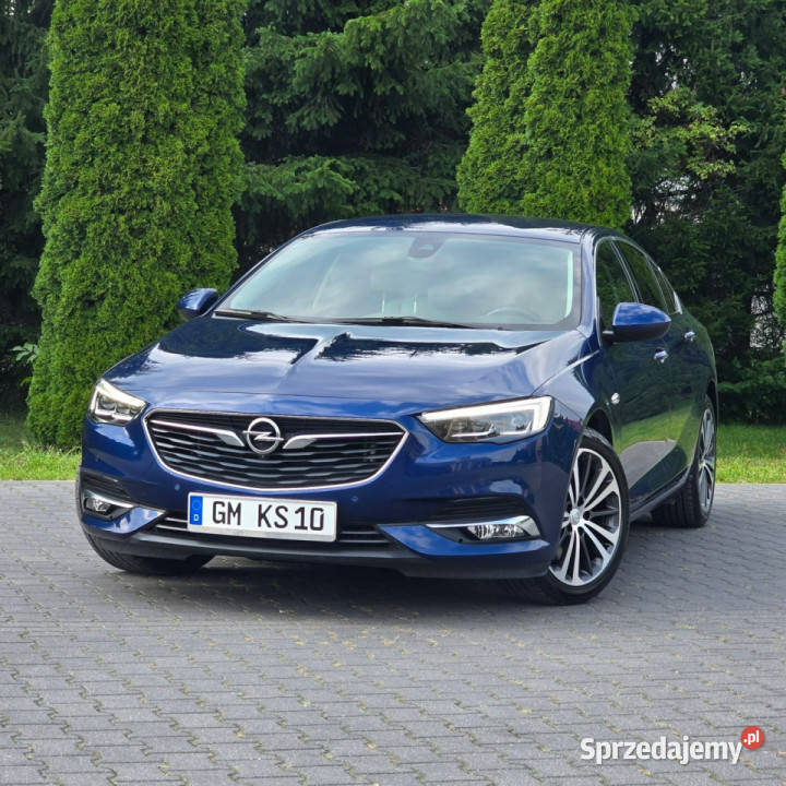 Opel Insignia Opel Insignia B 20 Ultimate światła do jazdy dziennej Ostrów Mazowiecka sprzedam