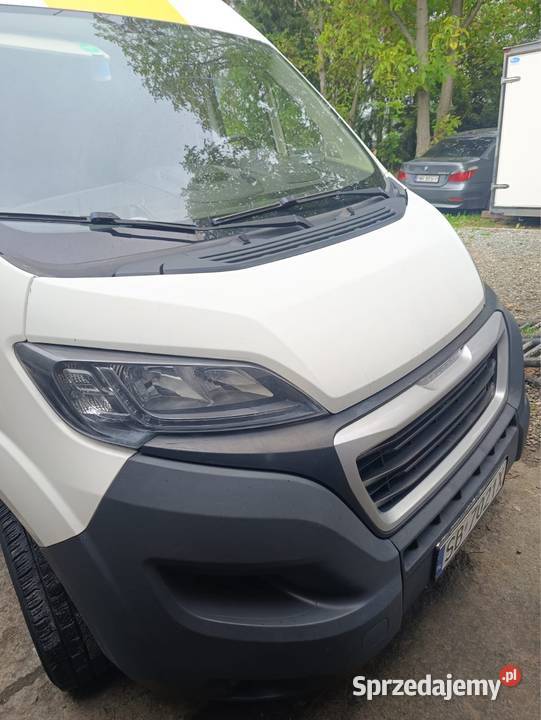Boxer 2019 r Bielsko-Biała sprzedam