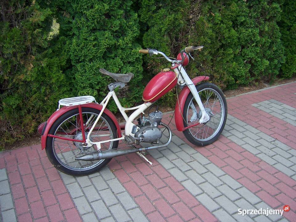 komar sztywniak Polski PRL Goleniów