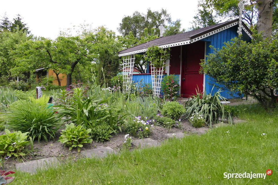 Ogródek działkowy Warszawa Ochota rekreacyjna