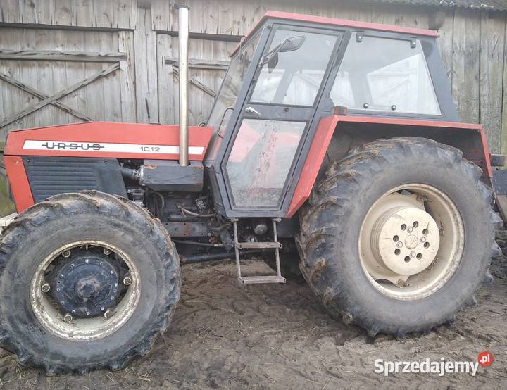 ursus mazowieckie Odechów