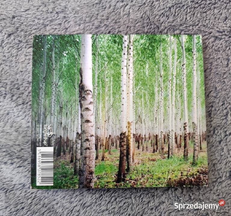 Talkdemonic Beat Romantic CD awangarda Płyty i kasety Rybnik