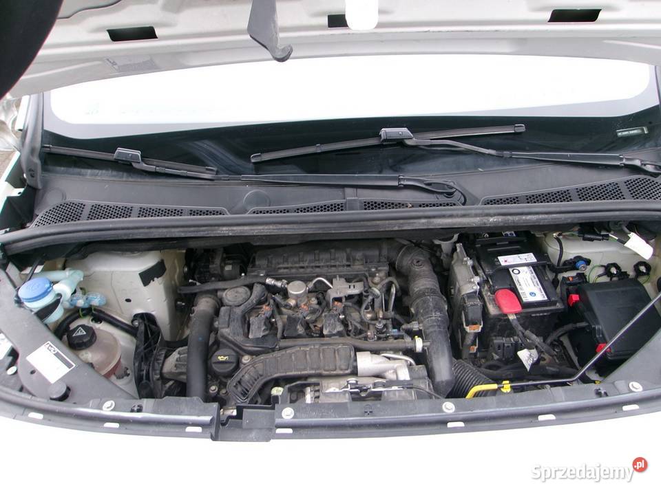 CITROEN BERLINGO Dolna Grupa