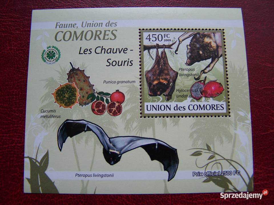Komory 2009 MNH Fauna Nietoperze Nakład 2500 Tychy