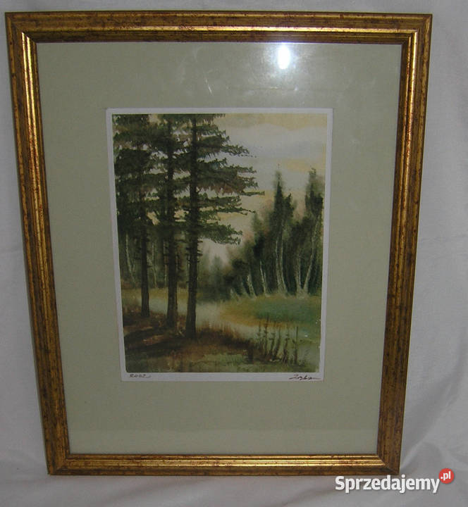 obraz akwarela w złotych ramachMD Malarstwo