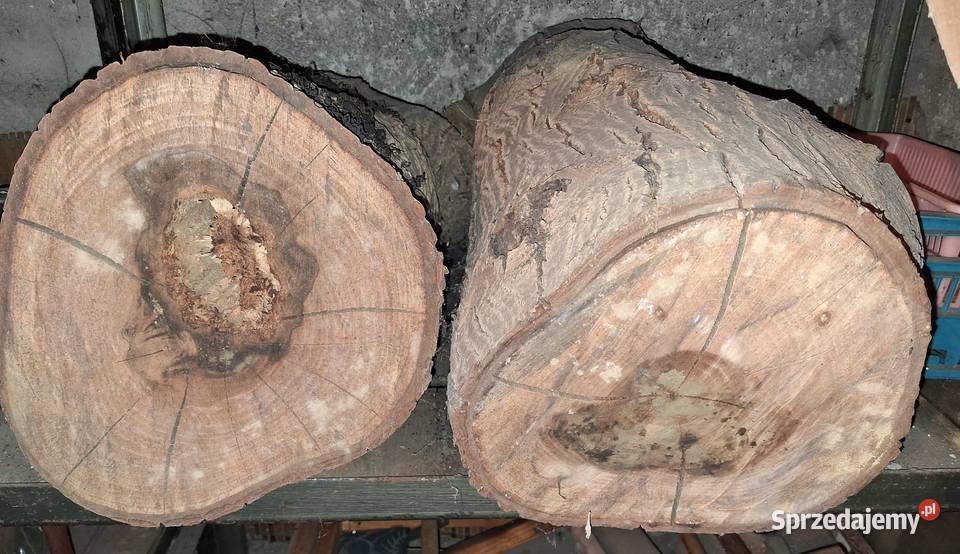 Oddam drewno orzech klocki i struganka Wrocław