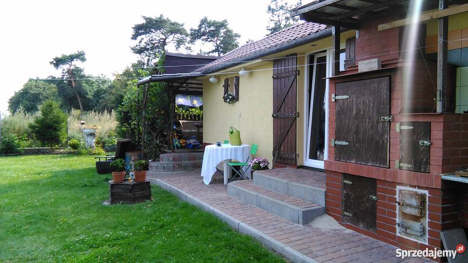 Działka rekreacyjna jez Miedwie Koszewo 500m2 prąd Koszewo sprzedam