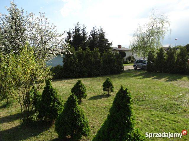 Działka ROD Smochowice Poznań Poznań sprzedam