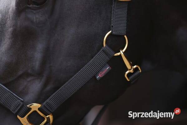 Kantar Topline czarny Pony 3224615 Kamionna