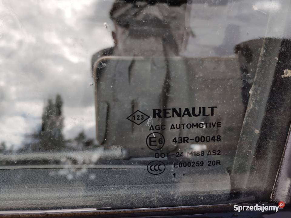 DRZWI LEWE TYLNIE RENAULT GRAND SCENIC III Drzwi wielkopolskie