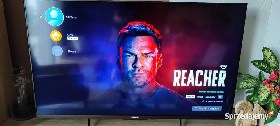 Sony bravia 50 LCD