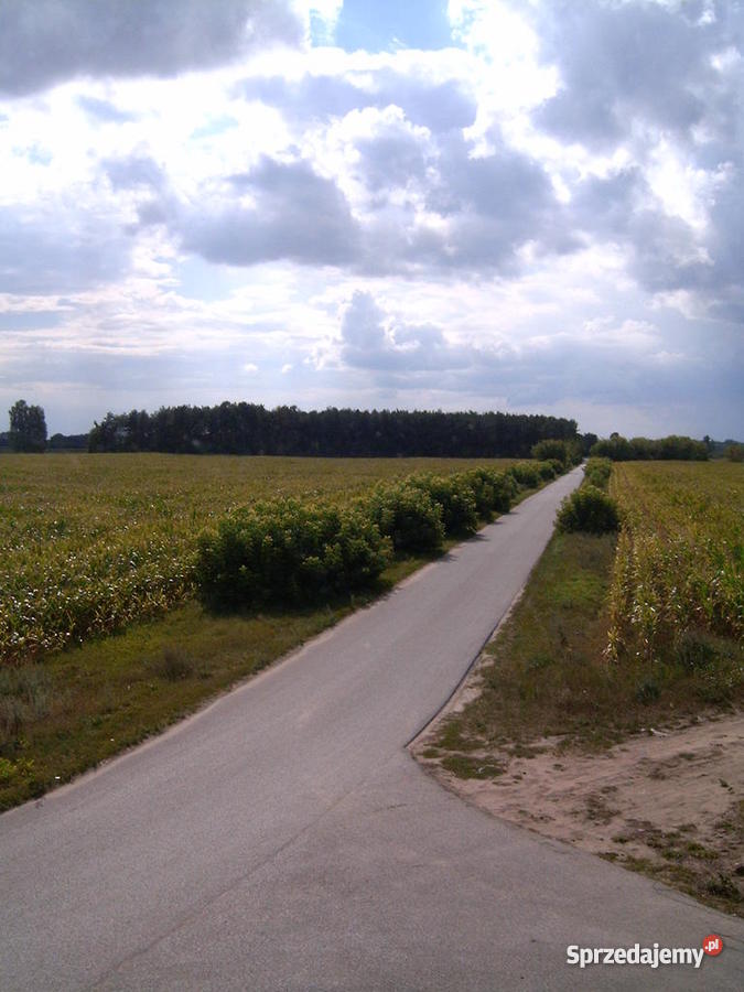 Domek Lipianki Liczba pokoi 4 Domy sprzedam