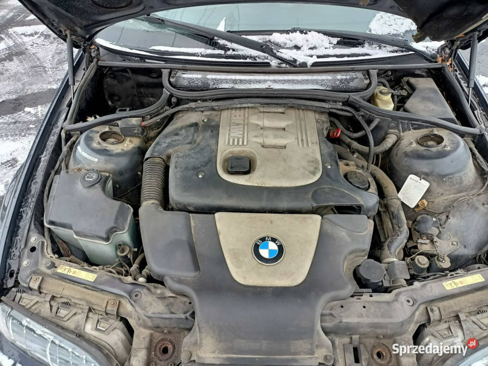 BMW 318 Bmw E46 20D 116 05r E46 19982007 manualna BMW sprzedam