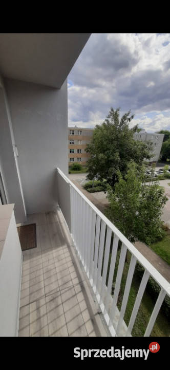 ElblągWynajmę słoneczne mieszkanie 3pokojowe Elbląg