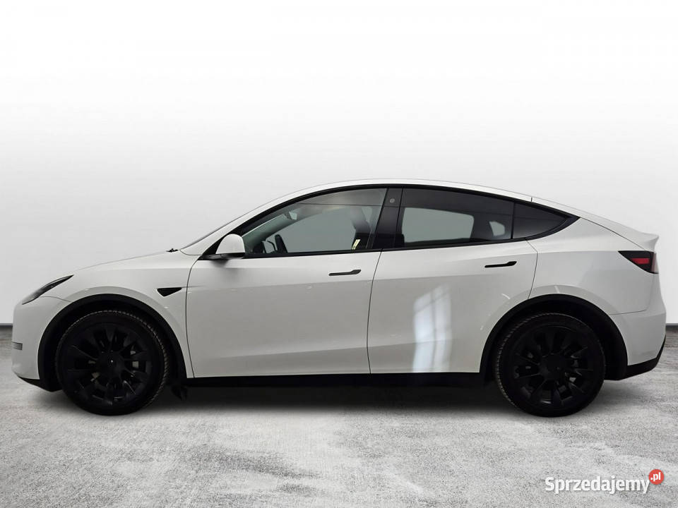 Tesla Y Long Range AWD Z Polskiego Salonu