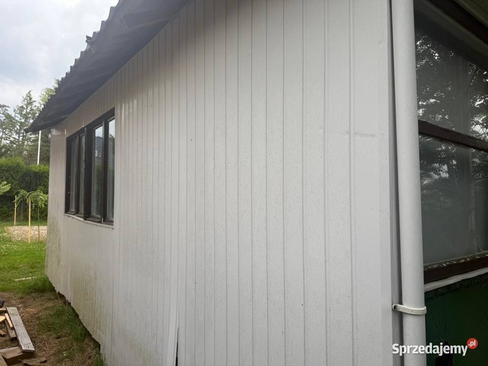 Barak holenderka pomorskie Pozostałe Warszawa