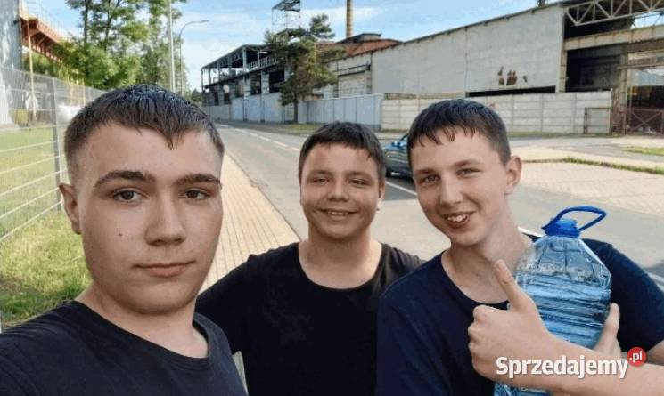 sprzedam jakis cwelow dentych