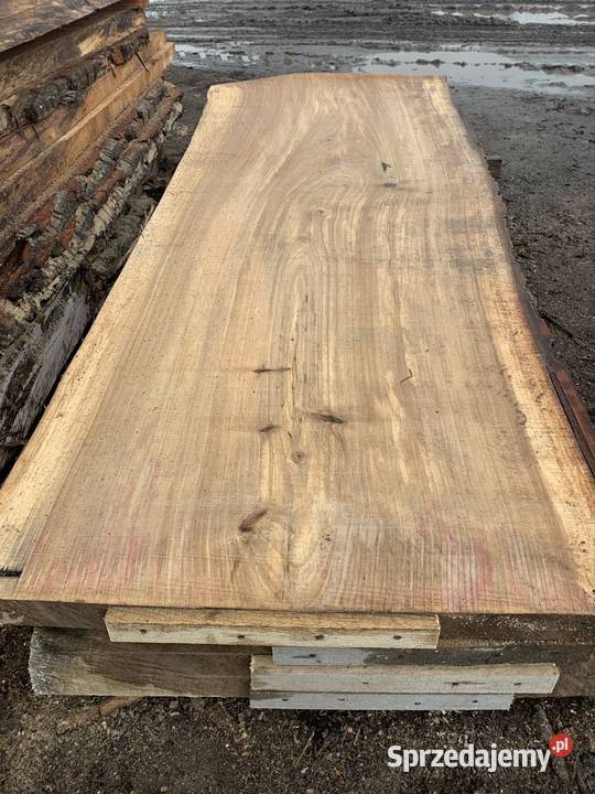 Szerokie Deski topolowe 100 monolity dyle foszty 100cm Dryga