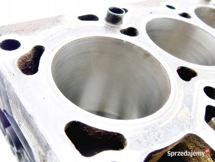 BLOK SILNIKA A9JA 13 8V FORD FIESTA V VI KA osobowe śląskie sprzedam