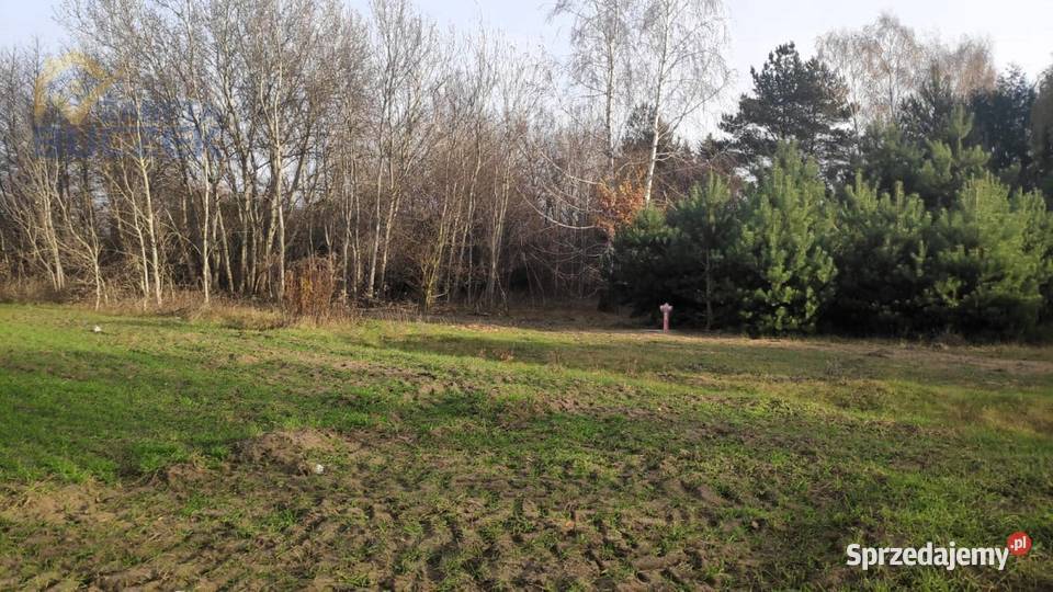 Sprzedam działki budowlanousługowe w Lubiejewie 1000m2 Lubiejew sprzedam