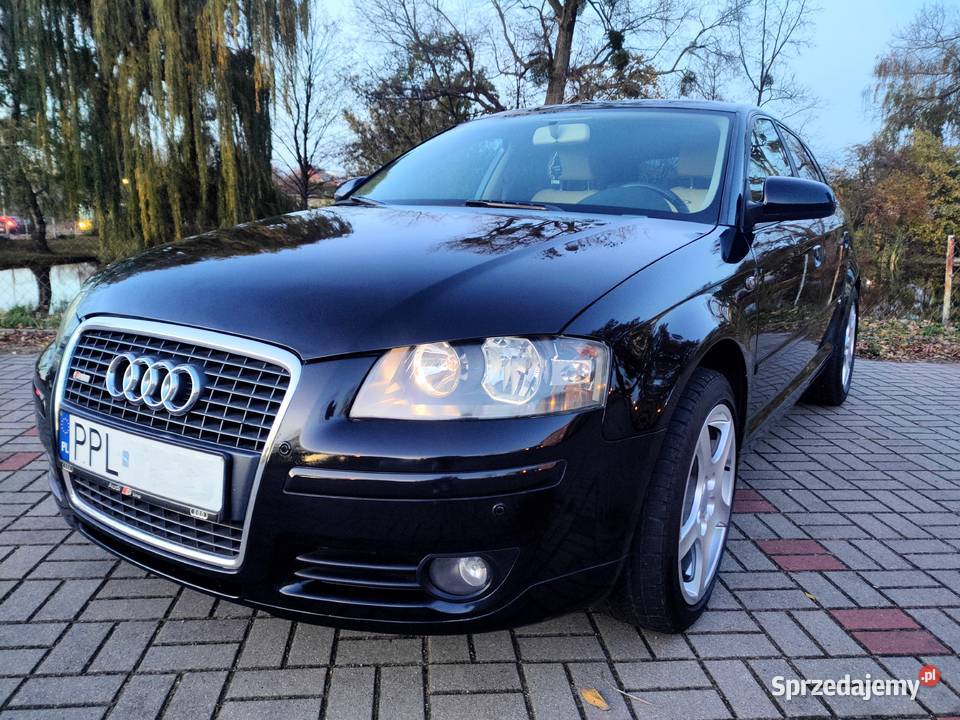 Audi A3 8P Sportback 20TDI 16V 140 manual wielkopolskie Pleszew sprzedam
