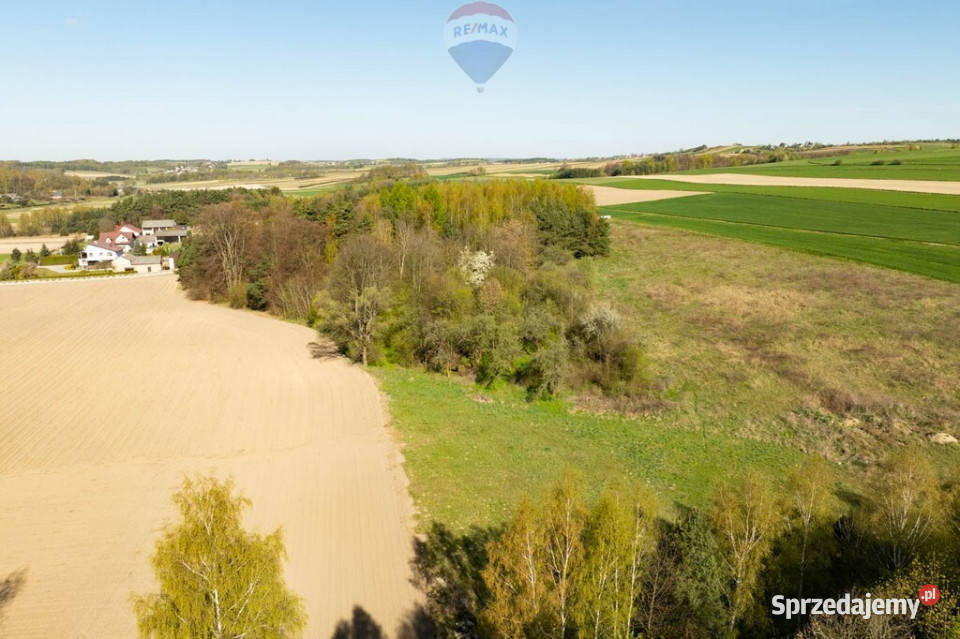 DZIAŁKA ROLNO BUDOWLANA SUCHA GMINA TRZYCIĄŻ 56m sprzedam