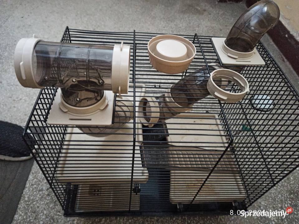 Klatka na gryzonie Akcesoria dla zwierząt Koszalin