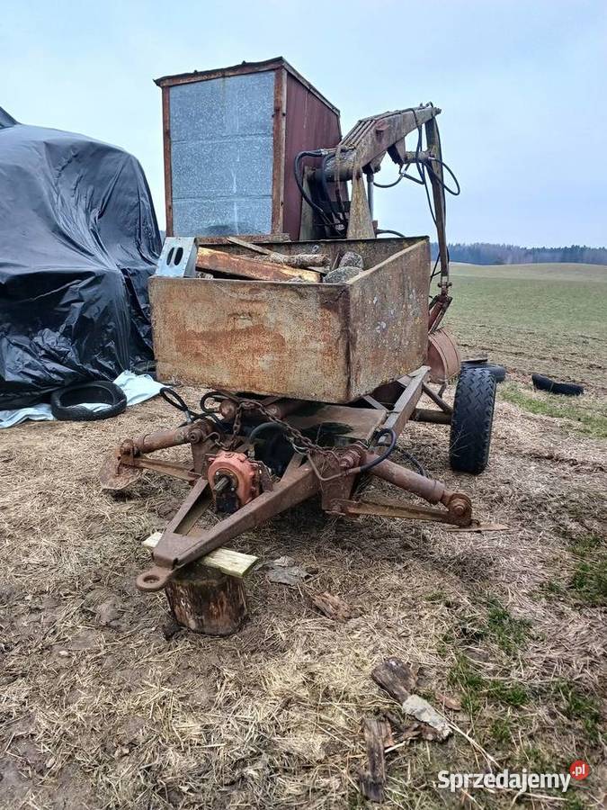 Cyklop polski Pozostałe Raczki