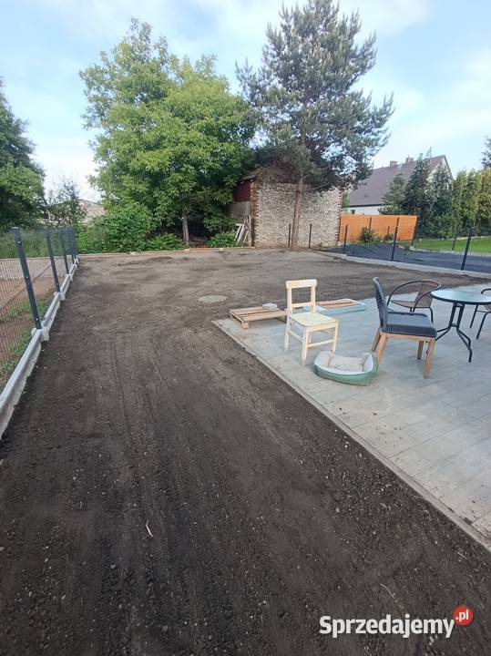 Glebogryzarka wynajem usługi traktor Sosnowiec