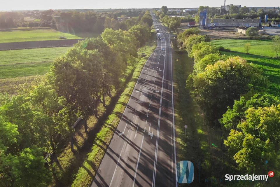 Działka 17600m2 Płońsk Kwiatowa Sprzedaż