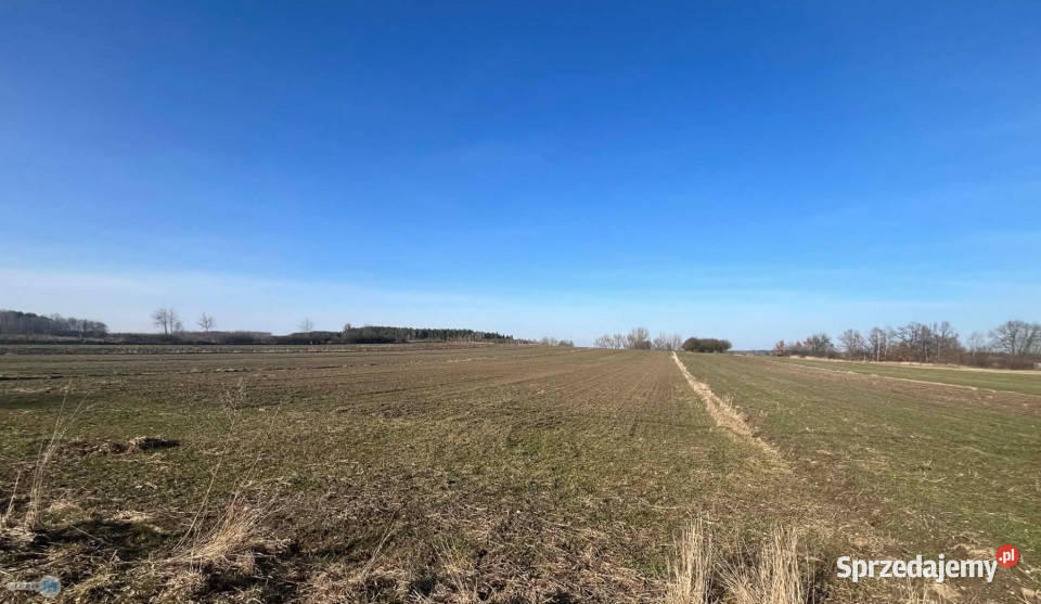 Grunt 5800m2 Gnojno świętokrzyskie