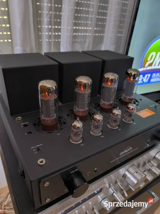 Line Magnetic LM 211 IA stan perfekcyjny Wejherowo