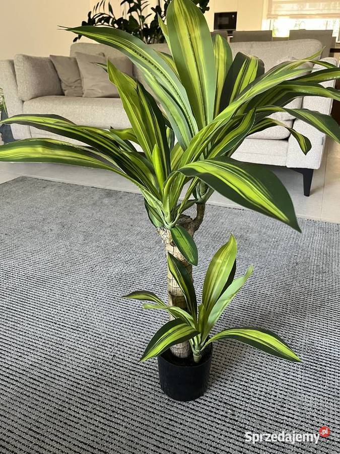 sztuczna dracena w doniczce palma 73 roślina Warszawa
