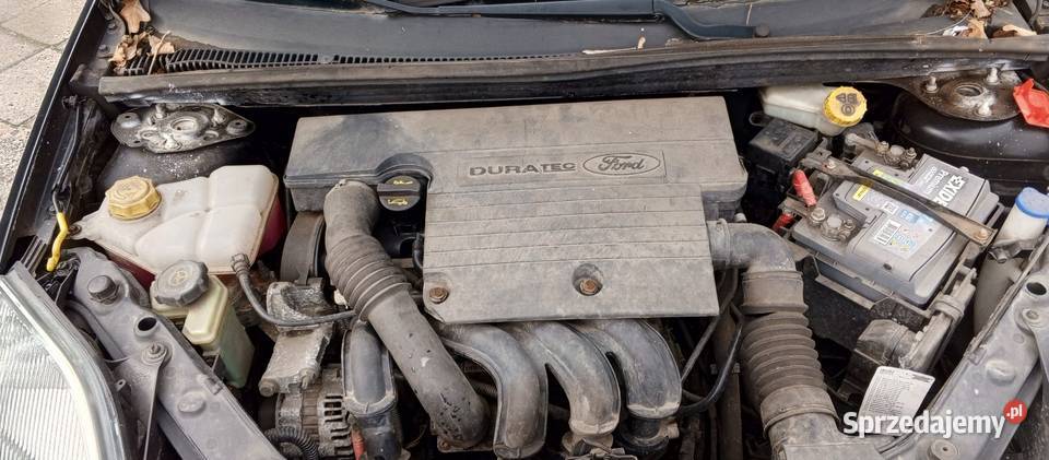 Ford Fiesta 14Z Niemiec2003 r Samochody na części Motoryzacja Szamotuły