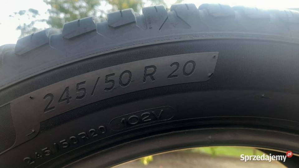 Michelin Crossclime 2 24550r20 102V Ciechanowiec
