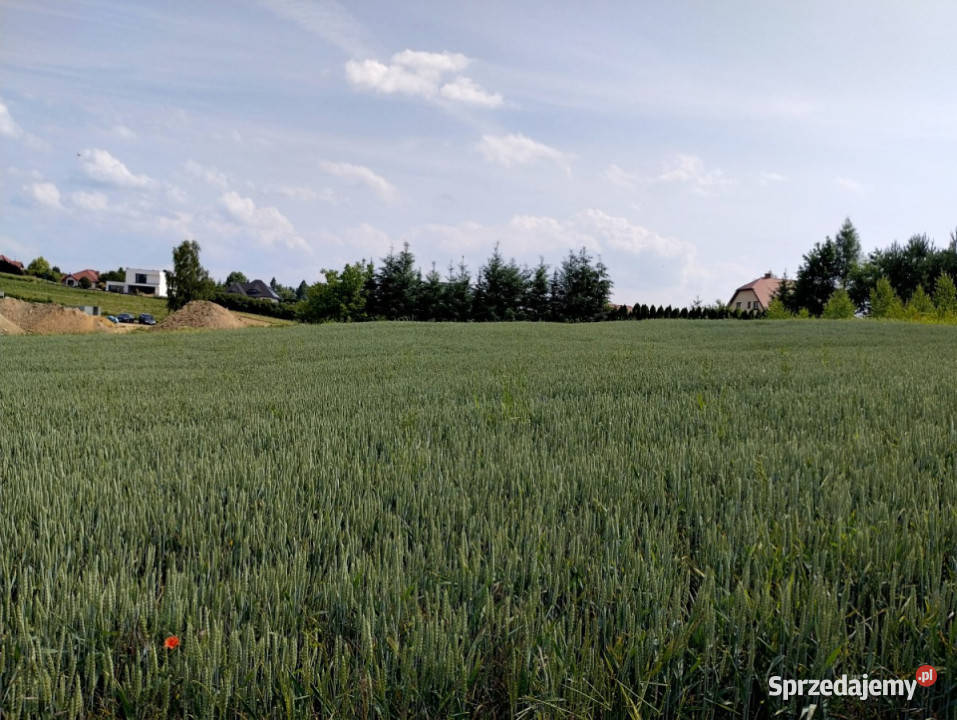 Do sprzedaży grunt 1581m2 Snopków lubelskie
