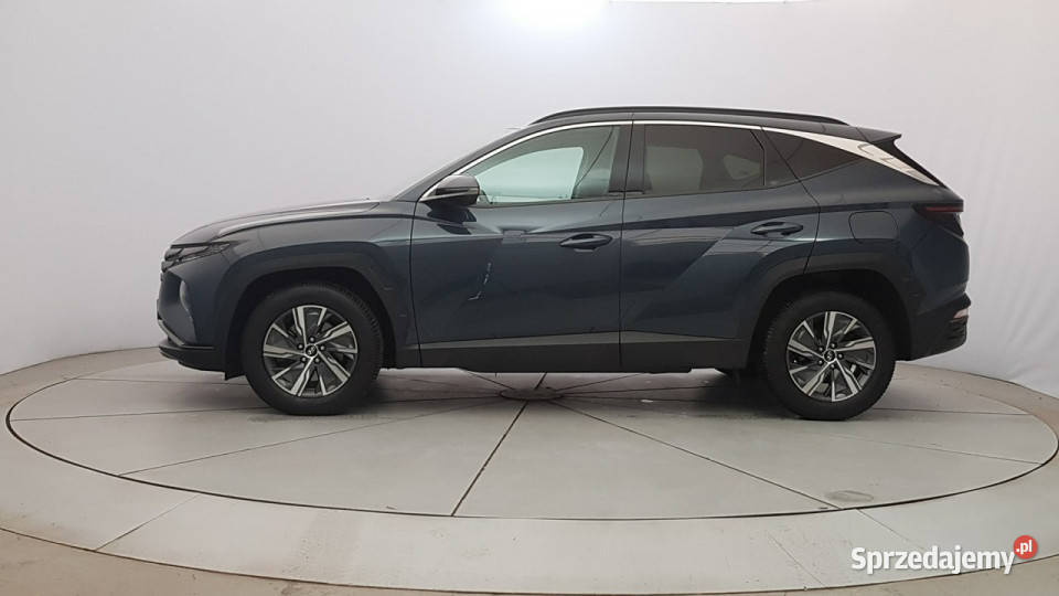 Hyundai Tucson 16 TGDi HEV Executive 2WD Z ASR (kontrola trakcji) Warszawa