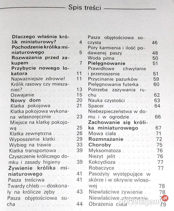 Królik miniaturowy Andrea Dieker Jutta Steinkamp lubelskie Chełm