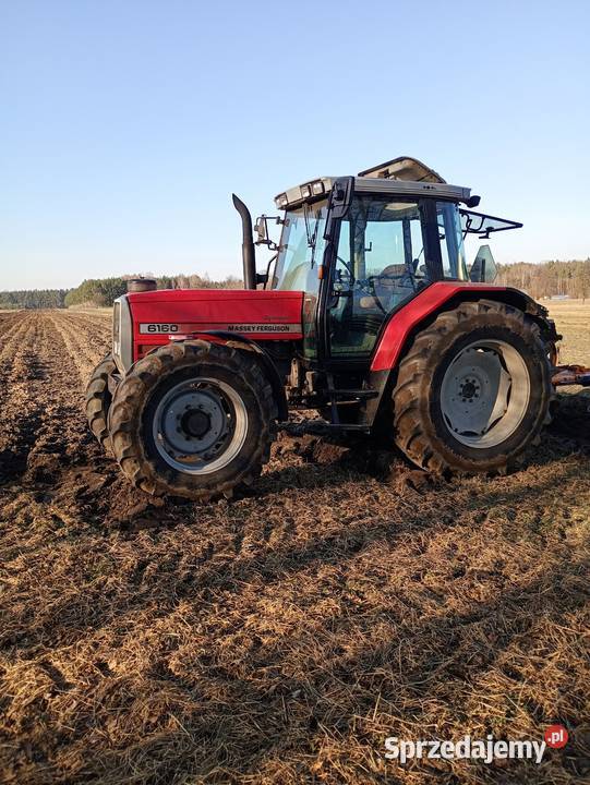 Massey Ferguson łódzkie Antonielów