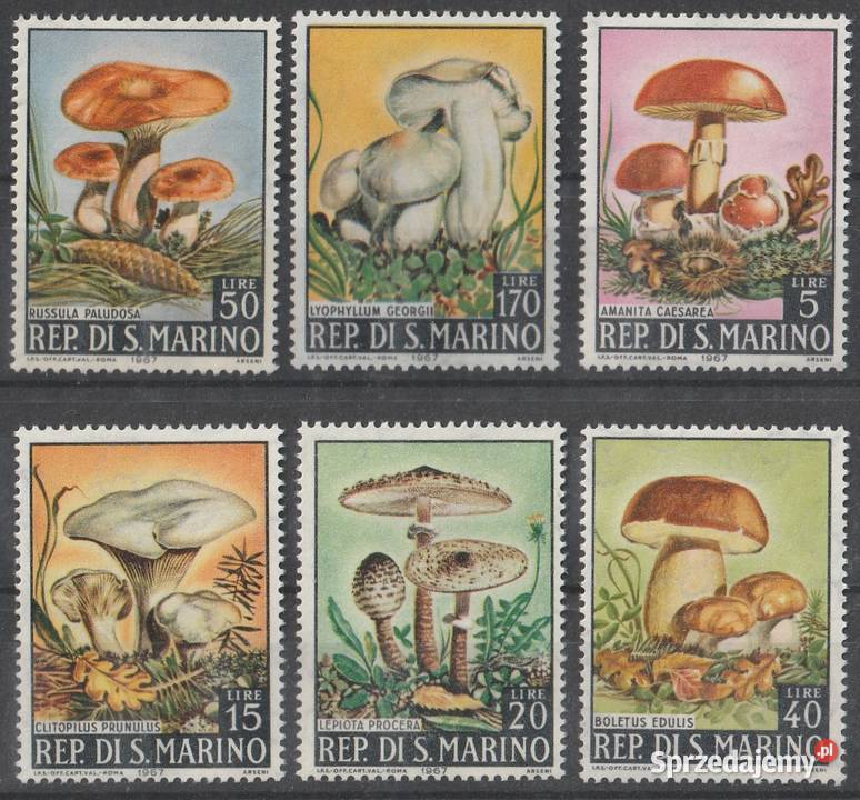 SAN MARINO GRZYBY 1967 CZYSTE Łódź sprzedam