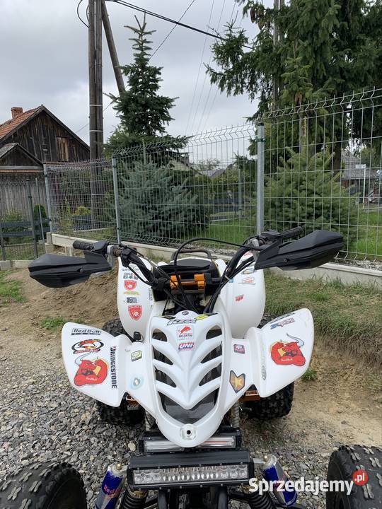Bashan 250 chłodzony cieczą plug przyczepka Niedźwiedź