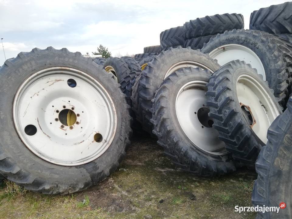 Koła wąskie Holland Holland koła wąskie Osła