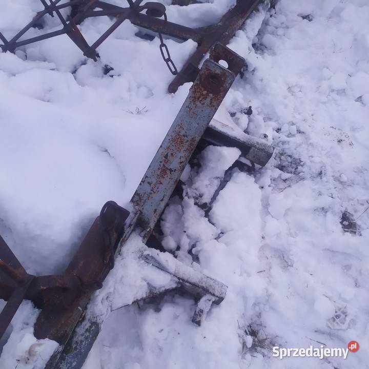 Brony 5 posiewne Brony lubelskie Pniówek