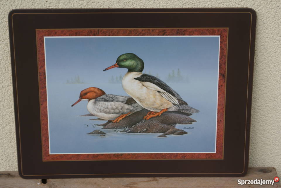 Duże korkowe podkładki na stół KACZKI 4 40x30 mazowieckie sprzedam
