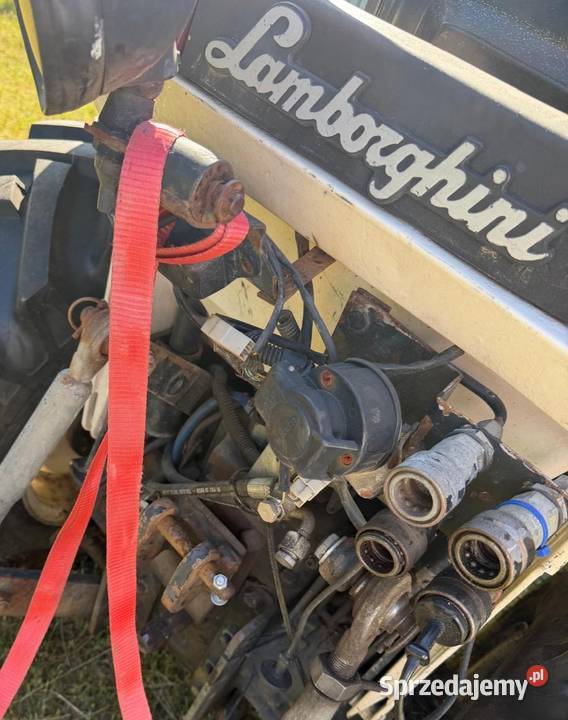 Ciągniki Sadowniczy i nie LAMBORGHINI lubuskie Dobiegniew