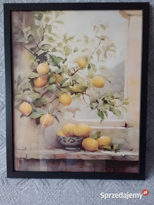 Obrazy na płótnie w ramie 40 x 50 Piława Górna