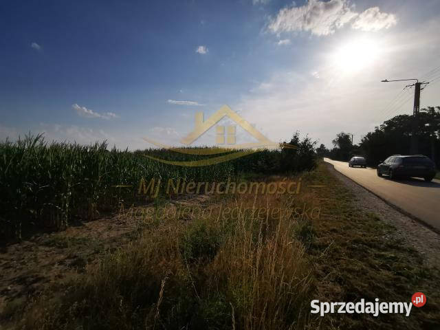 Ogłoszenie działka 3681m2 Karolina