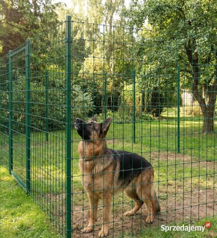 Siatka leśna powlekana OC PCV ogrodzeniowa Poznań sprzedam
