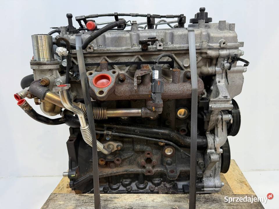 SILNIK D4FC Kia Pro Ceed Ceed Rio III IV Venga osobowe Chełm